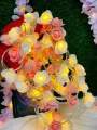 80 psc  Led Rose Flash String Fairy Light (25 Feet Length). 