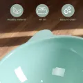 Tilted Cat Food Bowl Cat Food Dish Ergonomic Raised Cat Food Bowl Anti Vomiting Plastic Feeding Bowl Non Slip Pet Supplies. 
