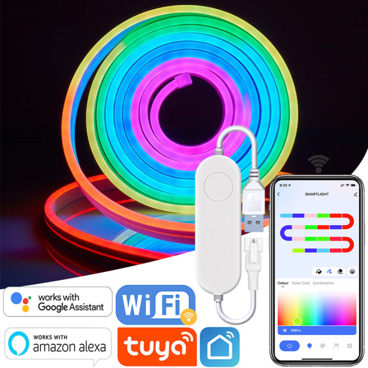 Tuya Rope Led RGBIC Neon Rope Lights, TUYA 5M/16.4ft LED Neon Flex USB Dynamic LED ...