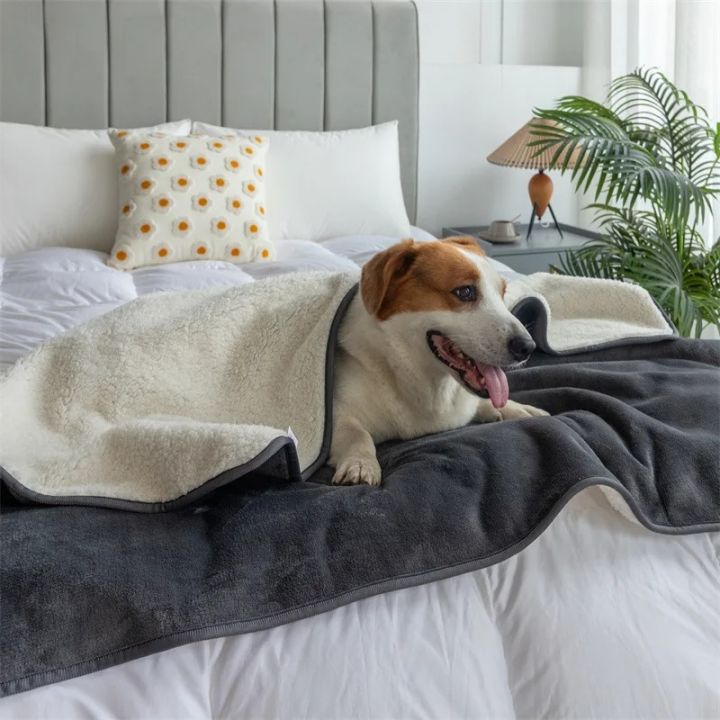 Premium%20Waterproof%20Cat%20&%20Dog%20Blanket,%20Puppy%20Blanket,%20Waterproof%20Dog%20Blanket,%20Blankets%20for%20Dogs,%20Cat%20Blanket%20Slate%20-%20Image%204