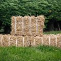 Natural Wheat Straw Grass, Animal Bedding and Farm Wheat Straw 5kg with free gift. 