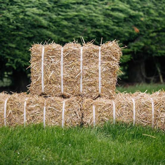 Natural Wheat Straw Grass, Animal Bedding and Farm Wheat Straw 5kg with free gift
