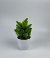 Plastic decorative flower plant pots | artificial flower decoration | display room | cod. 