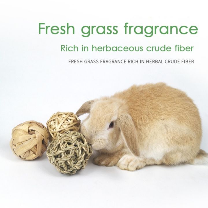 5PCS%20Rabbit%20Ball%20Toys%20Bunny%20Treats%20Toys%20For%20Teething%20Small%20Animal%20Chew%20Toys%20Grass%20Ball%20For%20Dwarf%20Hamster%20Rabbits%20Guinea%20Pigs%20Ger%20-%20Image%203