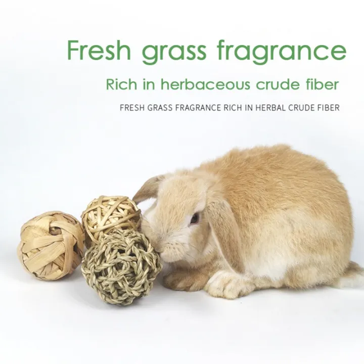 5PCS%20Rabbit%20Ball%20Toys%20Bunny%20Treats%20Toys%20For%20Teething%20Small%20Animal%20Chew%20Toys%20Grass%20Ball%20For%20Dwarf%20Hamster%20Rabbits%20Guinea%20Pigs%20Ger%20-%20Image%203