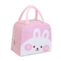 Insulated Lunch Bag Simple Bento Cooler Bag Lunch Tote Bag for Lunch Box for Women Men Adult Picnic Working Hiking Beach. 