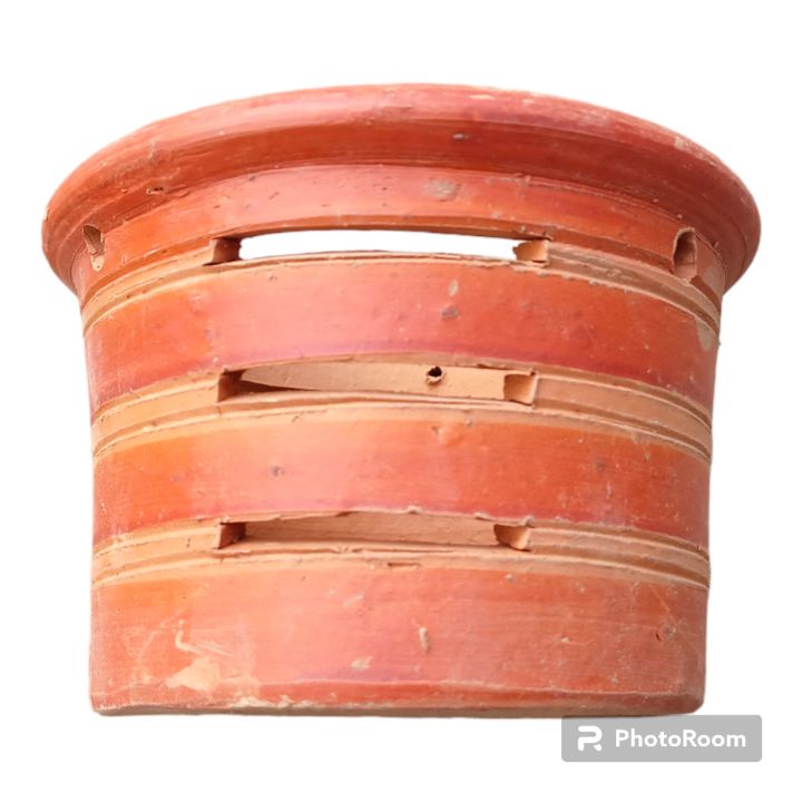 Matir%20Flower%20Tob%20_%20Matit%20Tub%20_%20Orchid%20Matir%20Tob%20-%20Image%204