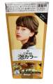 Premium Kao Liese Foam Hair Color 7 Color Shade To Choose From Salon Finish Made In Japan. 