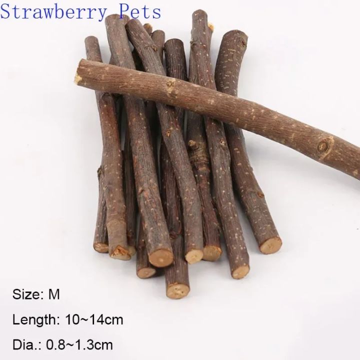 5pcs%2010pcs%2040pcs%20Chew%20Stick%20Apple%20Tree%20Branch%20Hamster%20Squirrel%20Natural%20Toys%20Parrots%20Rabbits%20Grinding%20Stick%20-%20Image%206