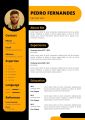 Customized Professional Designer CV, Resume, Curriculum vitae. 
