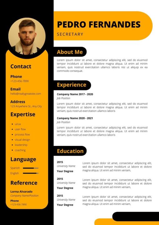 Customized Professional Designer CV, Resume, Curriculum vitae