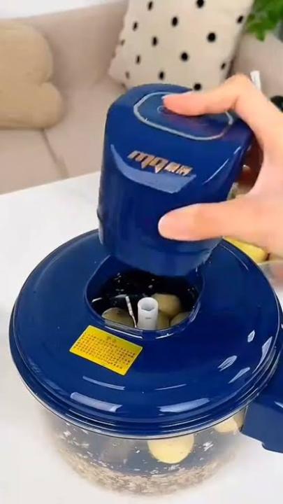 Electric%20Automatic%20Fruit%20&%20Vegetable%20Peeler%20Machine%20for%20Garlic,%20Onion,%20Potato%20&%20Fruits%20-%20Image%203