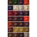 Eazicolor Permanent Hair Color Chroma Technology With Omega-9 Tube-60 Ml With Developer Shade Silver Intensifier. 