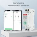 Earu Smart Wifi Breaker. 