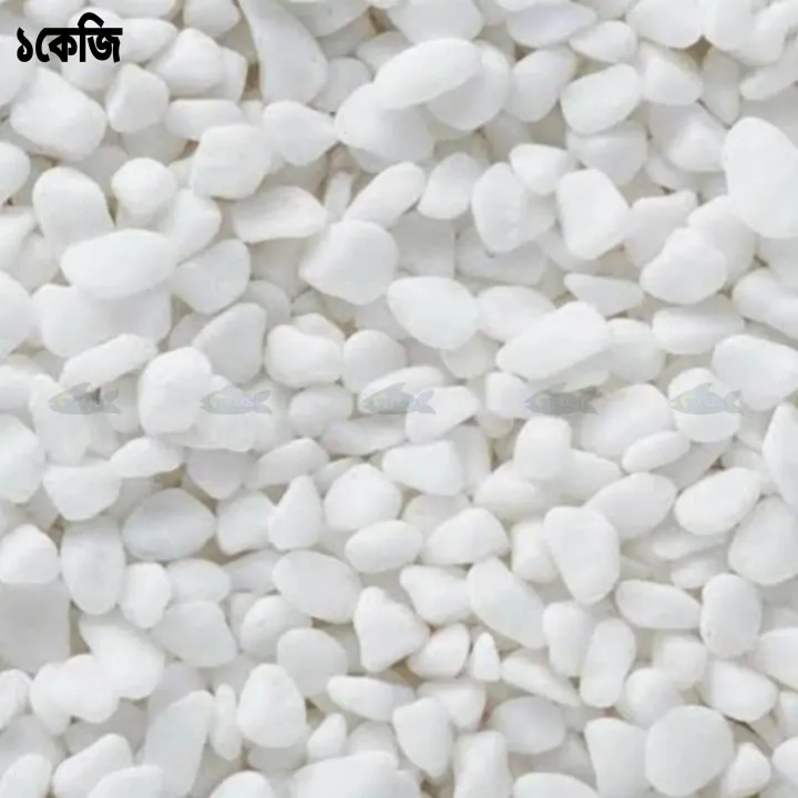 1kg%20White%20Pebble%20Stone%20for%20Aquarium%20or%20Small%20Tub%20Plant%20Decoration.%20-%20Image%202