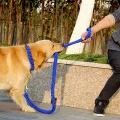 Nylon Dog Harness Leash For Medium Large Dogs Leads Pet Training Running Walking Safety Mountain Climb Dog Leashes Ropes supply. 