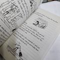 Diary Of A Wimpy Kid Hard Luck by Jeff Kinny. 
