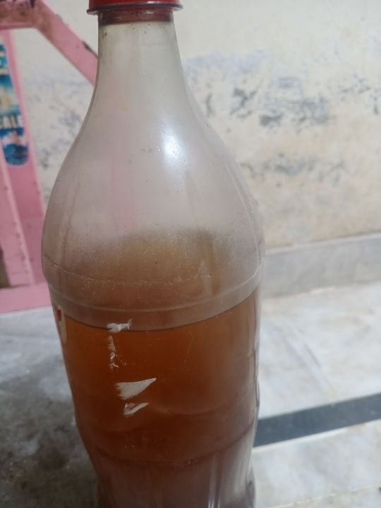 Walnut%20Oil%20(Edible)%20Akhrot%20Oil%20Pure%20Carrier%20Oil%20Cold-Pressed%20-%20100%25%20Pure%20&%20Organic%20-%20(Unrefined)%20-%20Image%202