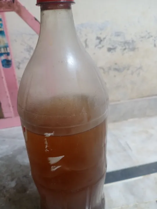 Walnut%20Oil%20(Edible)%20Akhrot%20Oil%20Pure%20Carrier%20Oil%20Cold-Pressed%20-%20100%25%20Pure%20&%20Organic%20-%20(Unrefined)%20-%20Image%202