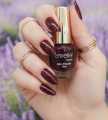 Nail paint / Emelie Premium Nail polish / Nail polish / various Nail paint colors for girls / Nails Makeup for girls. 