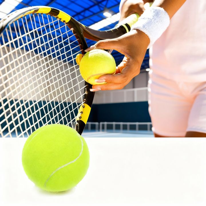 5/10PCS%20High%20Elasticity%20Tennis%20Professional%20Tennis%20Training%20Game%20Ball%20Outdoor%20Dogs%20Bite%20and%20Chomp%2063mm%20Tennis%20Ball%20-%20Image%202
