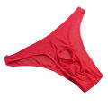 Sexy Lingerie Men Mesh Underwear Briefs Open Front Penis Pouch Hole Hollow Out Transparent Panties Underpants. 