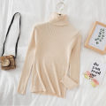 Autumn Winter Turtleneck Women Pullover Sweater Basic Solid Slim Fit Stretch Soft Ribbed Knitted Top Casual Woman Sweaters. 