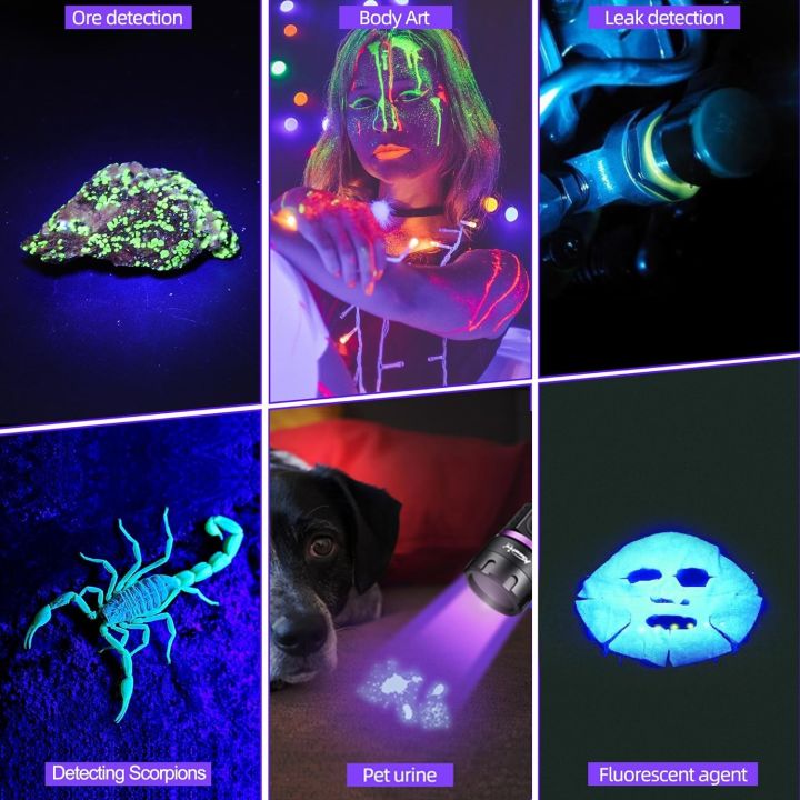 Mini%20365/395nm%20UV%20Flashlight%20USB%20Rechargeable%20Ultraviolet%20%20Pet%20Urine%20Cat%20Tinea%20Money%20Ore%20Scorpion%20Fluorescent%20Checker%20Lamp%20-%20Image%204
