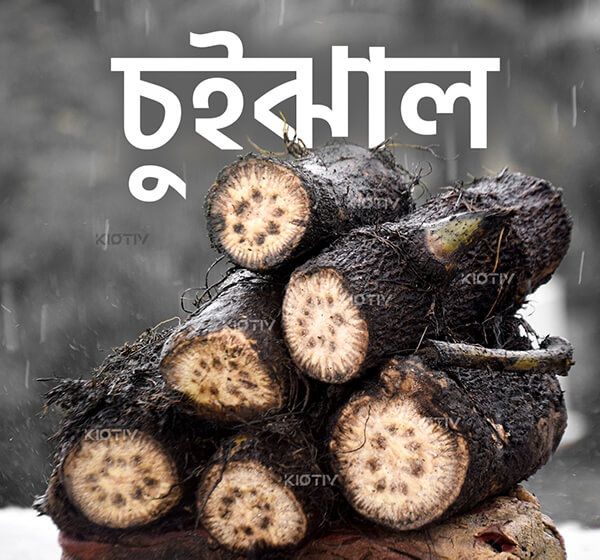 Chui Jhal from Khulna (3-4 inch) - 250gm