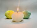 Seashell Scented Candles Aesthetic Trendy Candles Hand Poured Soy Wax Candle Handmade Shell Shape Candle Freesia Seashell Candle for Danish Pastel Room Decor. 