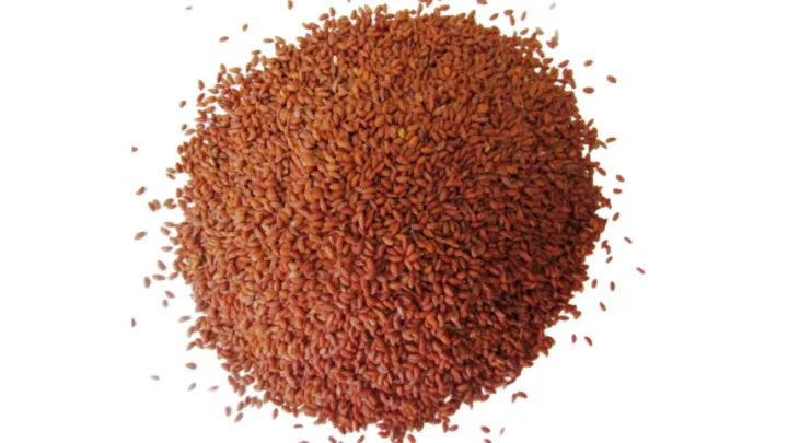 Seeds | Garden Cress – Organic 

100g