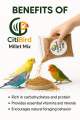 CitiBird Premium 5-Color Millet Mix – 1kg | Dust-Free Balanced Bird Seed. 