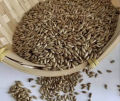 Canary | Canary seeds | Bird food |  500 grams seeds. 