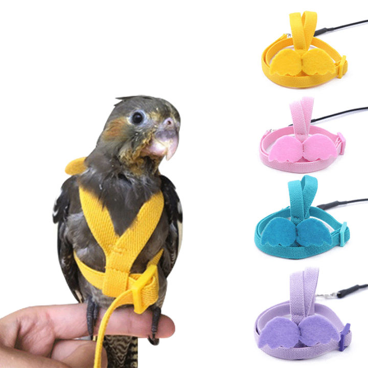 Curated visual reference: Gallery Detail: Parrot Flying Harness Leash Suit Pet Bird Outdoor Flight Training