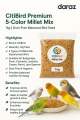 CitiBird Premium 5-Color Millet Mix – 1kg | Dust-Free Balanced Bird Seed. 