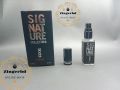 Signature Collection Concentrated POCKET Perfume Oil Long Lasting Non-alcoholic Perfume Fragrance - 6ml SPERY |. 