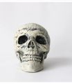 Halloween Skull Suit Ghost Festival Decoration Props Artificial Human Body Plastic Skull Hand Bar Masquerade Decoration.