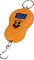 Electronic Portable Digital Hook Scale Hanging Scale Fishing Scale Luggage Scale Digital Pocket Scale Kitchen Scale Digital Weight Machine Digital Weight Scale Digital Weighing Scale Digital Weighing Machine Digital Mini Small Scale Weight Machine. 