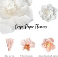 6 pcs Paper Flowers Pink Purple Ivory Light Blue Pastel Artificial Crepe Tissue Wall Home Décor Wedding Birthday Bridal Baby. 