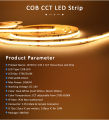 DC24V COB Horse Race LED Strip Set 5M 10M 15M 20M  CCT Running Water Flowing Ribbon Tape Kit with Power Supply and RF Control. 