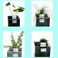 Aquarium Plant Holder Box Plant Basket Hanging Planter Growing Planter (White Colour).