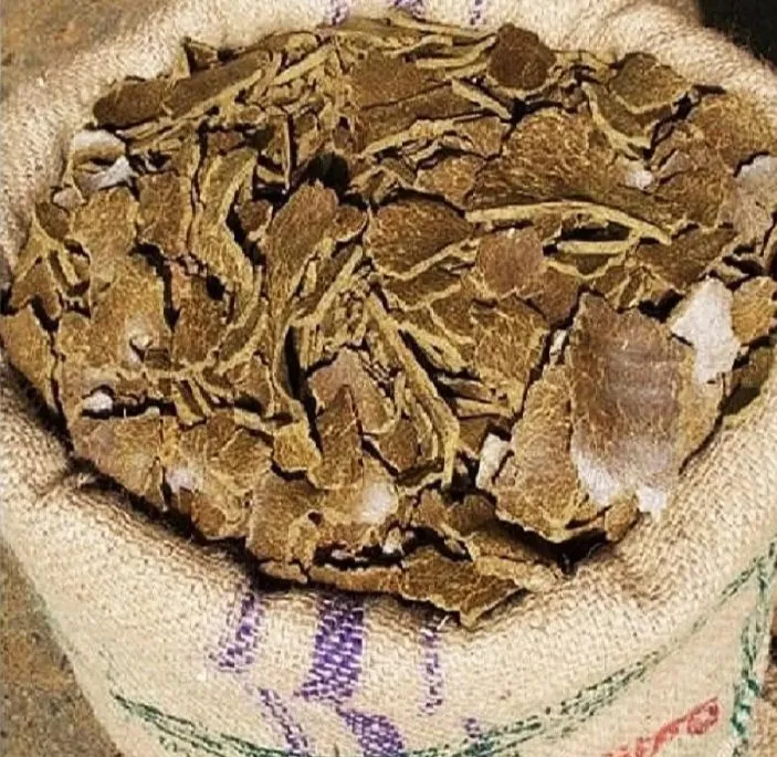 Mastard%20Cake%20Organic%20Food%20Plant(1%20kg)%20-%20Image%204