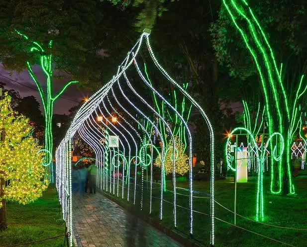 LED%20Rope%20lights%2070meter%20coil%202835%20led%20Room%20Decor%20led%20light%20Strip%20for%20Bedroom%20Decoration%20party%20,%20Ceiling%20light%20and%20Home%20Decor%20waterproof%20light%20-%20Image%205