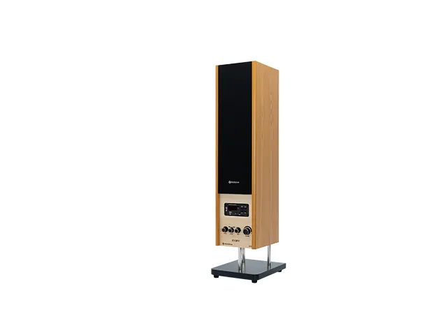 Solitine%20Every%20SE722%202.0%20Stereo%20Speaker%20%7C%2080W%20RMS%20%7C%20Bluetooth%205.0%20%7C%20Remote%20Control%20-%20Image%203