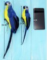 25/35cm Creative Handmade Simulation Parrot Animal Bird Garden Props Decoration Miniature Feather Lawn Doll Ornaments. 