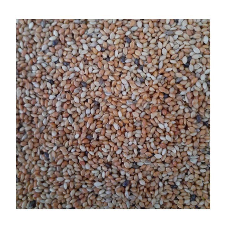 Unpolished Foxtail Millet For Birds - 1Kg (Thana hal | Thinai)