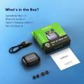 Oraimo SpaceBuds Neo Plus ENC+ANC Spatial Audio True Wireless Earphones - (OTW-323P). 