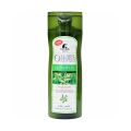Roushun Olive Shampoo 400Ml. 