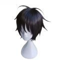 Anime Monkey D. Luffy Short Black Cosplay Wig Heat Resistant Synthetic Hair Wigs.