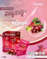 COLLAGENA Collagen. 